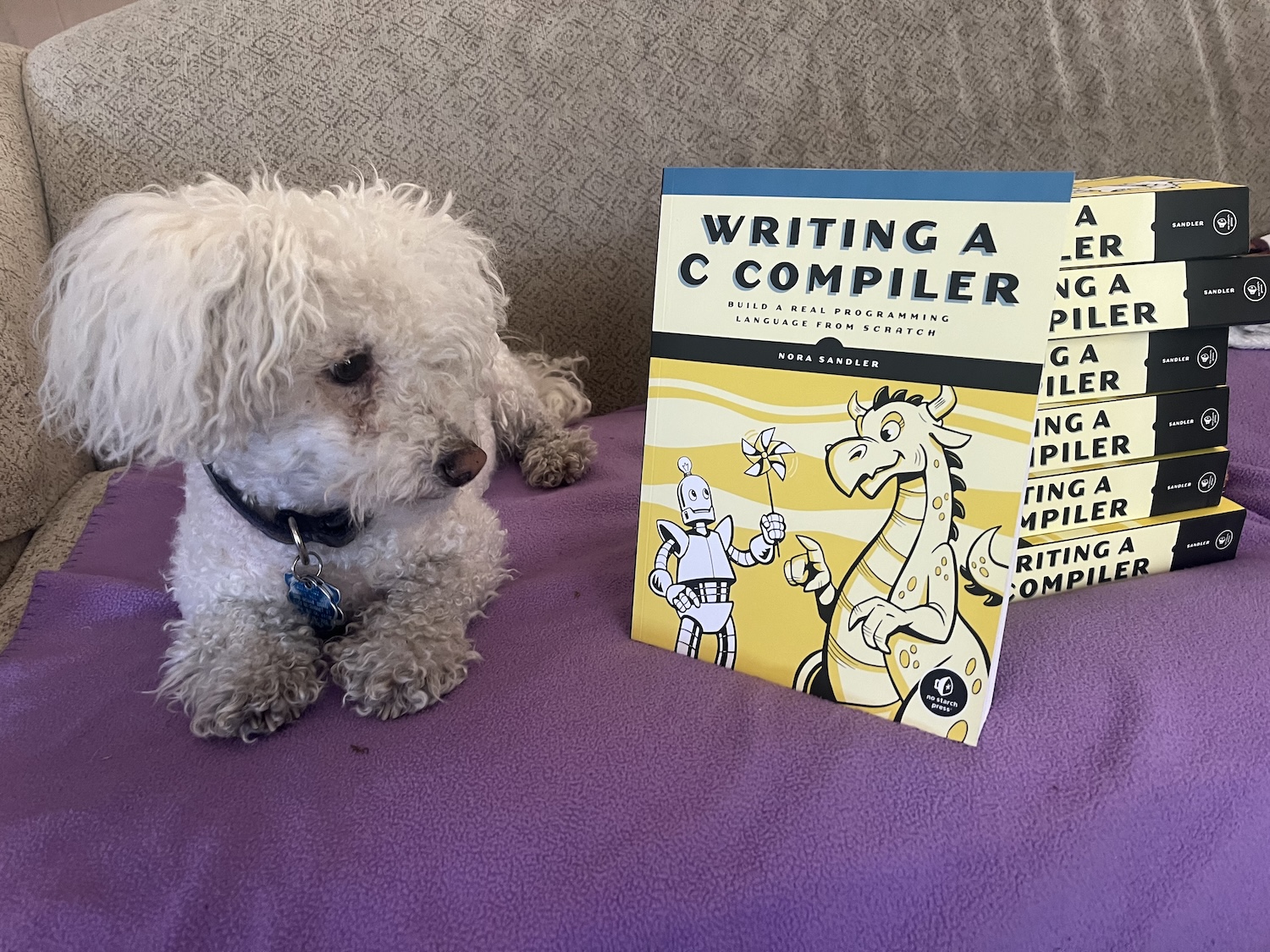 My dog sitting on the couch next to a stack of copies of Writing a C Compiler, which he is looking at skeptically.